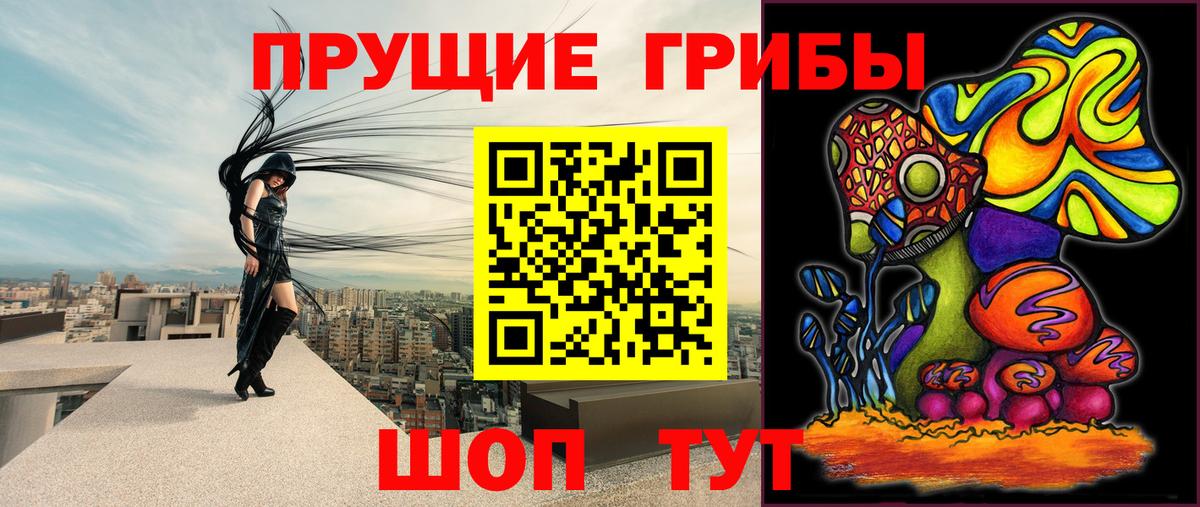 Псилоцибиновые грибы MAGIC MUSHROOMS Пенза