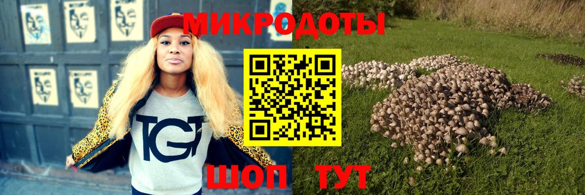 Пенза  купить  цена  Вход с VPN  Псилоцибиновые грибы Cubensis 